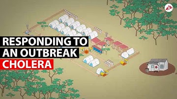 CHOLERA | How MSF responds to an outbreak