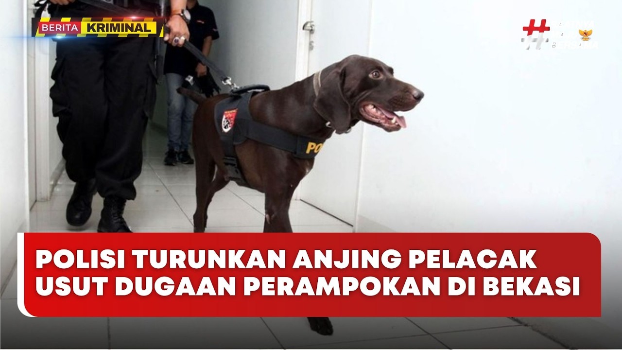 🔴 LIVE | Polisi Turunkan Anjing Pelacak Usut Dugaan Perampokan di Bekasi - Berita Kriminal