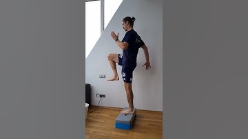 Reverse Lunge to Step Up