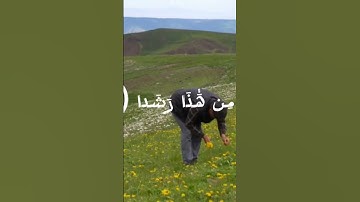 #قران_كريم #قران_بصوت_جميل #اذكار #حالات #حالات_واتس #حالات_واتس_اب #اكسبلور #دويتو #دويتو #لايك