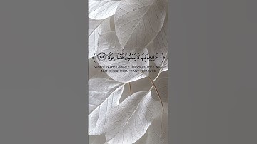 #سوره_الكهف #احمد_النفيس  #سوره_الكهف_من_القران_الكريم #أحمد_النفيس #سورة_الكهف_نور_مابين_الجمعتين