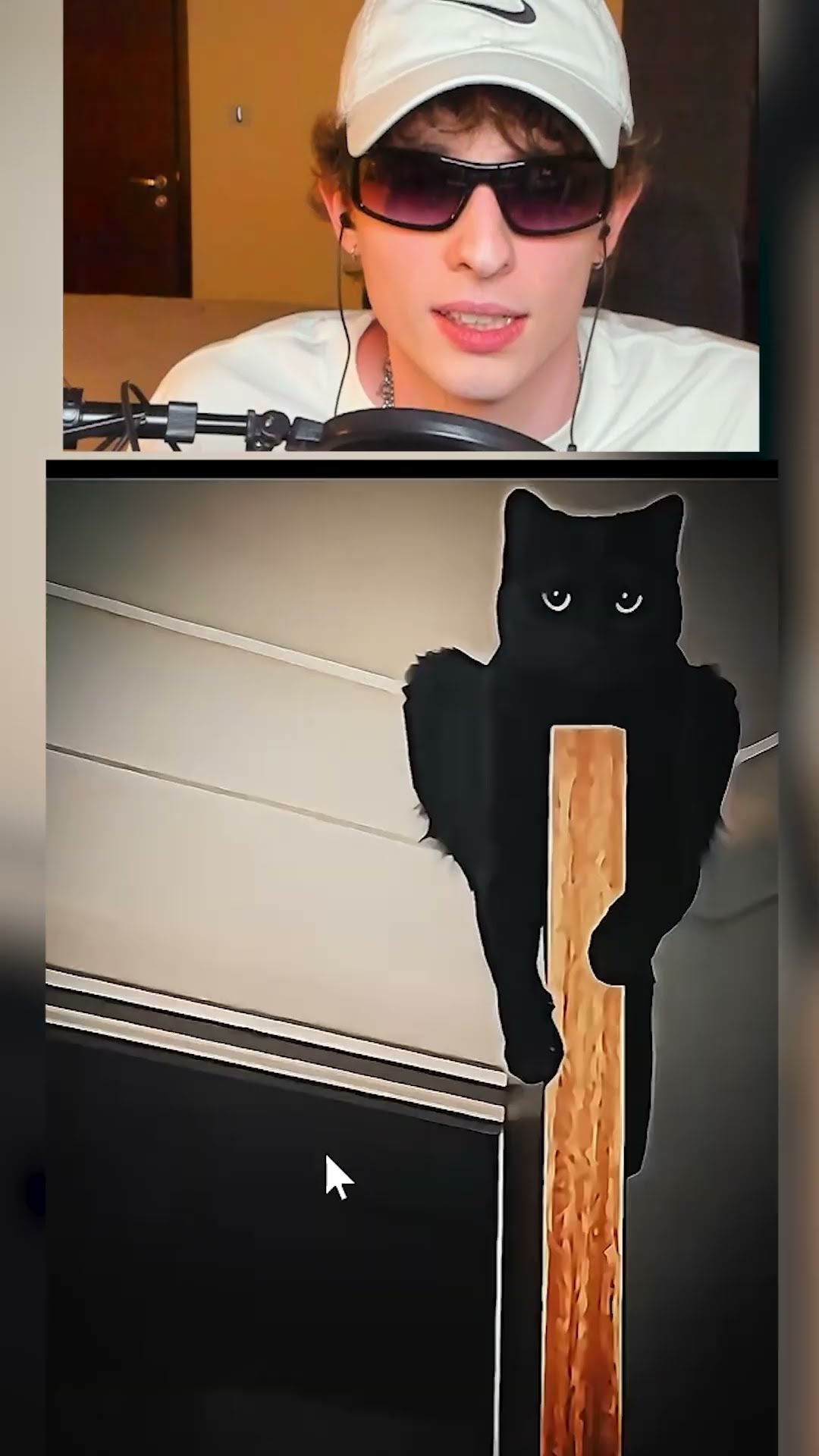 Los gatos más TERRORIFICOS☠