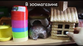 Покупки в зоомагазине