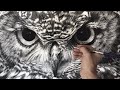 Hyperrealistic Owl Drawing/ 60 hour Time-lapse