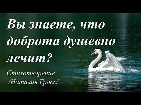 Вы Знаете, Что Доброта Душевно Лечит Стихи Наталии Гросс