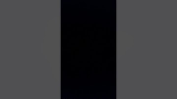 تلاوه خاشعه بصوت القارئ عمر حنش