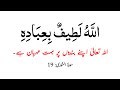 Quranic quotes  islamic quotes urdu  beautiful spiritual quotes  urdu quotes  dua  deeplines