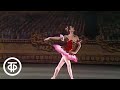 Вечер старинной хореографии. Балет "Пахита". Paquita. Mariinsky theatre (1981)