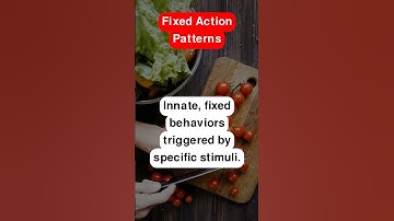Fixed Action Patterns