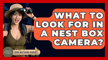 What To Look For In A Nest Box Camera? - Bird Watching Diaries
