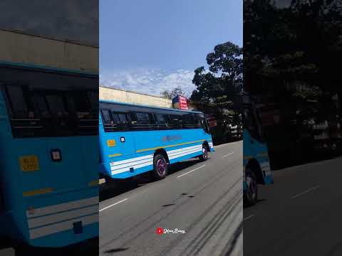 After Cf ANCHANY Kottayam Ranni Perunadu Privatebus Buskerala Shorts Bs4 Leyland 