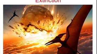 Speciation and Extinction Screencast