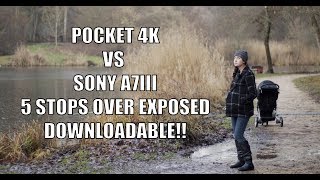 Blackmagic Pocket Cinema Camera 4k vs Sony A7iii