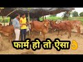 नोकरी नहीं देसी गाय पालन शुरु कर बनाई अलग पहचान👌Popular Sahiwal Desi cow Dairy farm in india