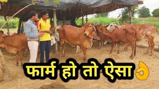 नोकरी नहीं देसी गाय पालन शुरु कर बनाई अलग पहचानPopular Sahiwal Desi cow Dairy farm in india