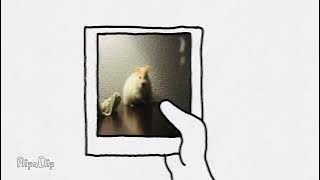 “Oh look, it’s a picture I took of you the first time I ever came here.,””