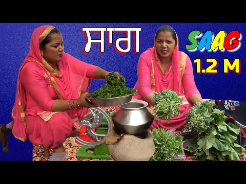 saag-|-saag-recipe-|-sarson-ka-saag-recipe-|-makki-ki-roti-sarson-ka-saag