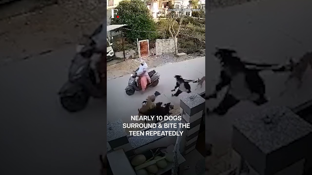 Stray Dogs Attack 18-Year-old Woman in Rajasthan, India | Subscribe to Firstpost | N18G