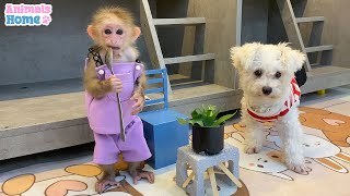 BiBi helps dad cook food for Amee