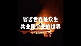 201703 娑婆世界是众生共业和个业的世界22324