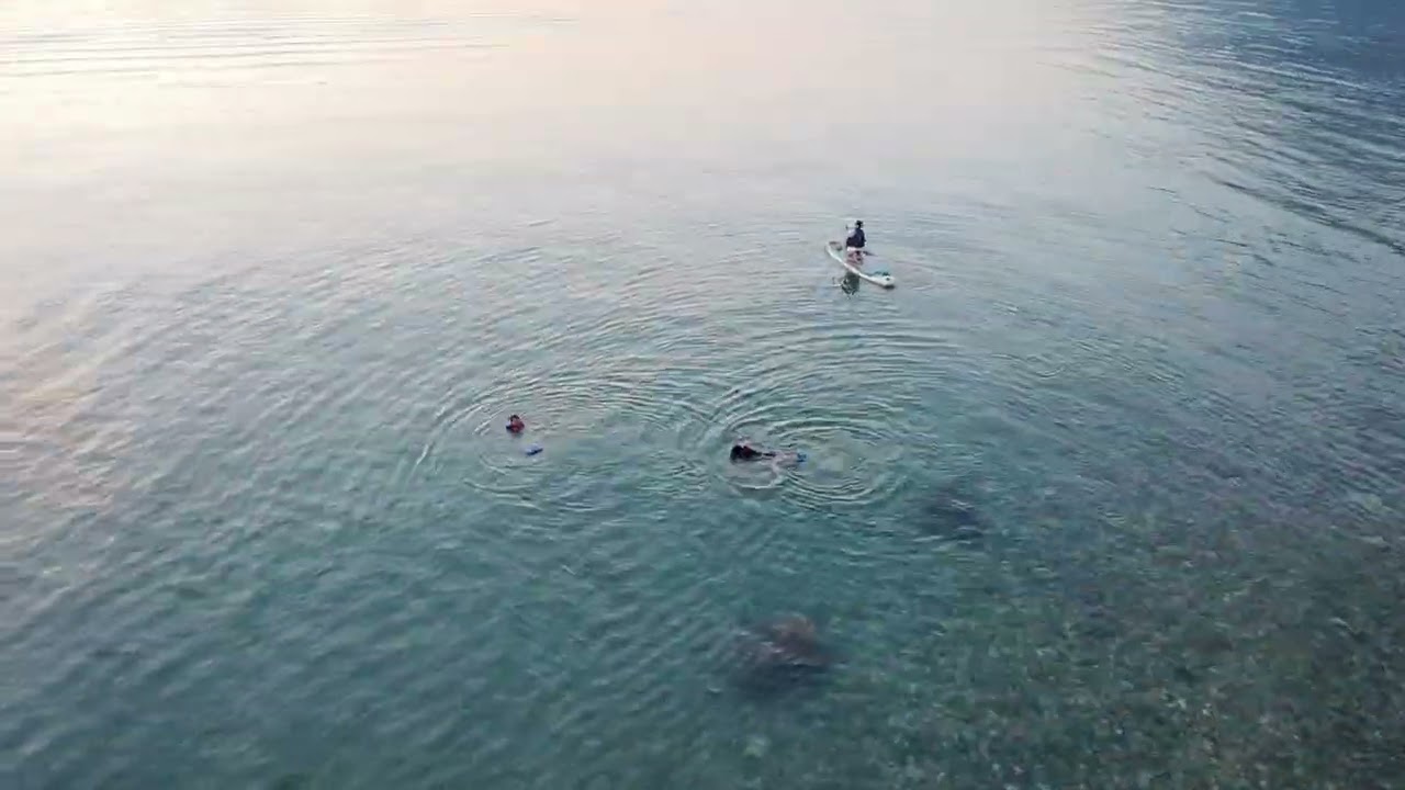 Летний отдых в кемпинге в Британской Колумбии | видео снято дроном DJI Neo