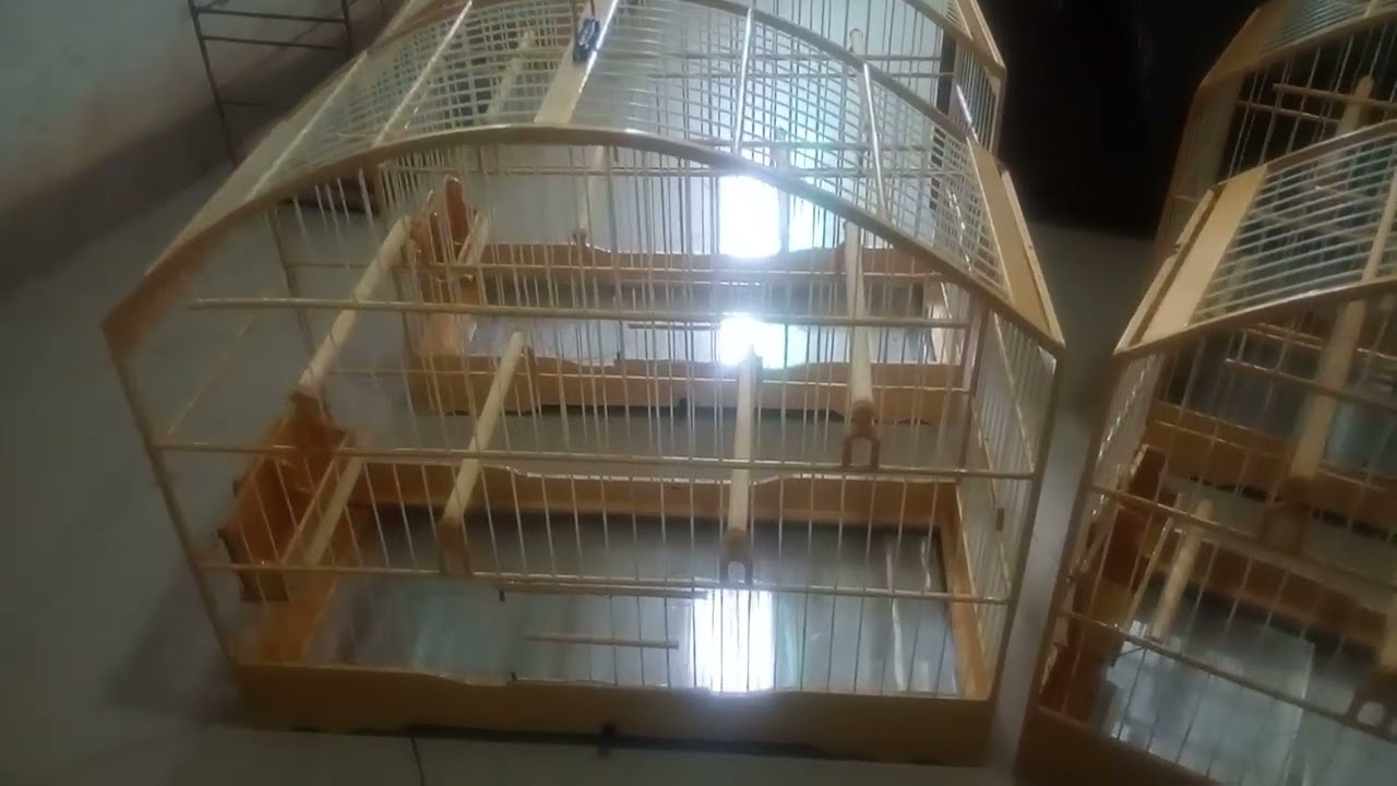 27 de fevereiro de 2026