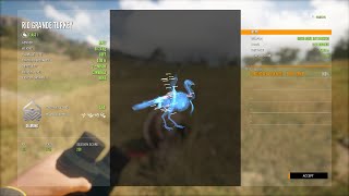 Diamond! First ever Rio Grande Turkey on a random level 2! COTW!