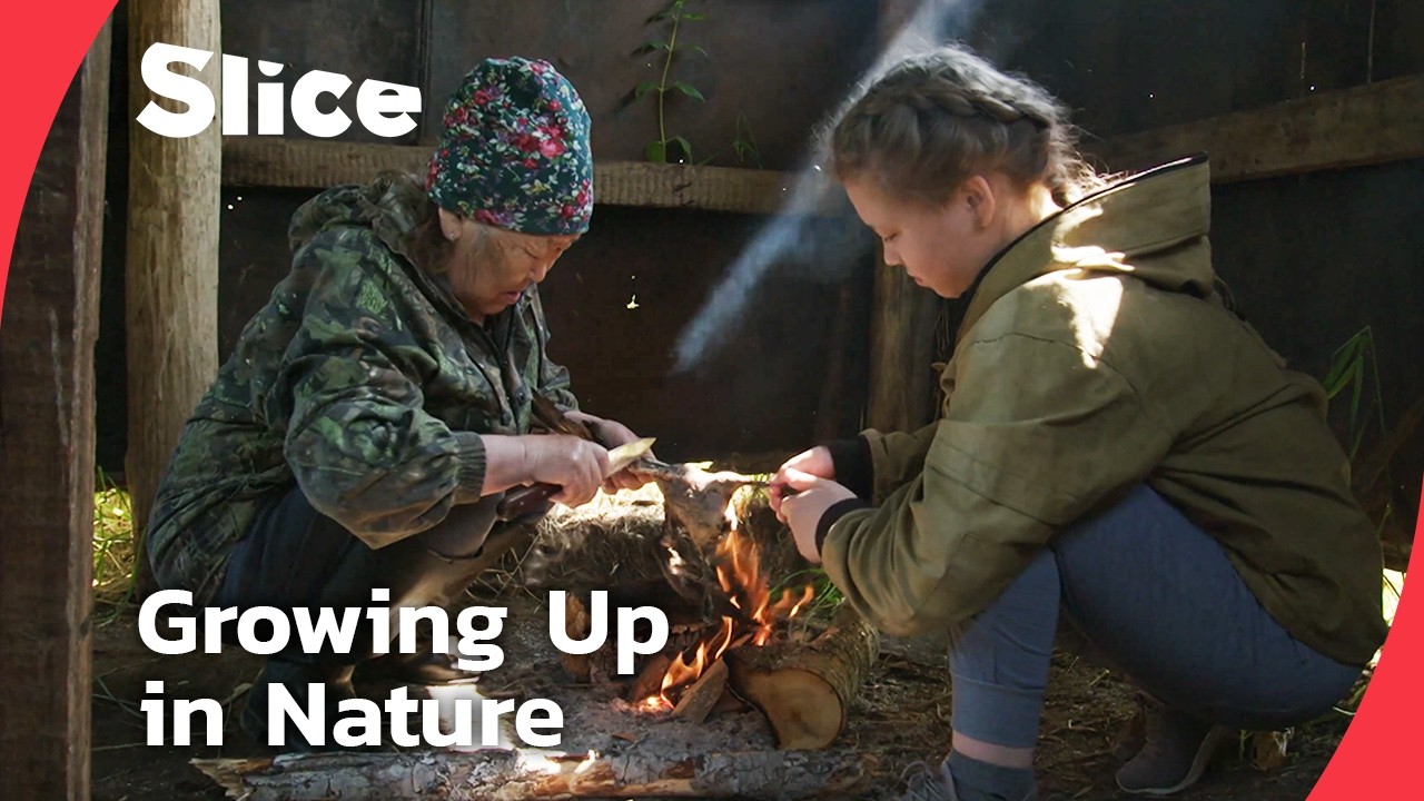 Documentary backdrop image for The Ways of the Forest: How Children of Kamchatka Learn to Live with Nature (2025)