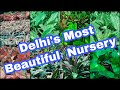 Delhs  most beautiful nursery masjid  nursery ramiyas gardening and travel vlogs