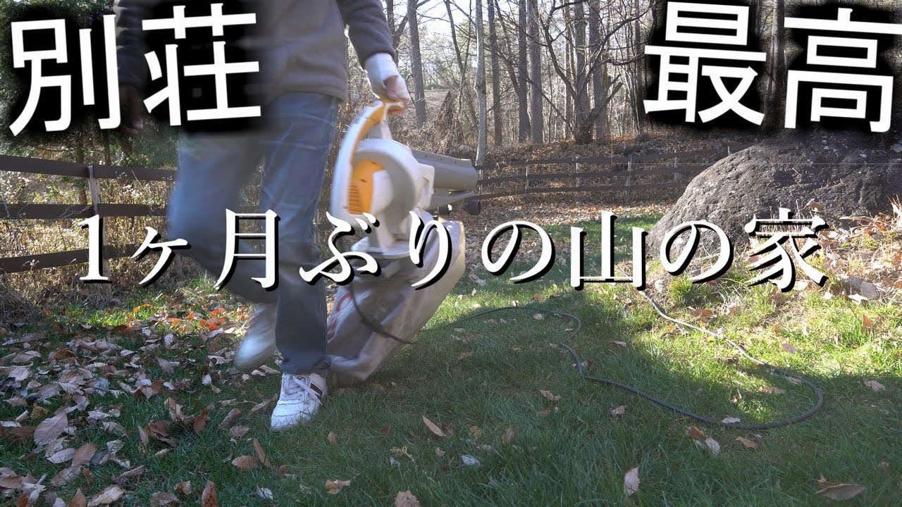 【八ヶ岳　二拠点生活】1カ月ぶりに山の家に戻ったら大変な事になっていました！