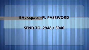 SuperLoad Guide - 4. Check Load Wallet Balance.wmv