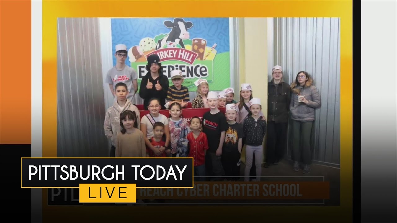 Fall STEAM Series: Reach Cyber Charter School