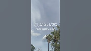 سورة القدر #قران_كريم #تلاوة_خاشعة #الحمدلله_دائماً_وابداً #دعاء #القران_الكريم_راحه_نفسية #alquran