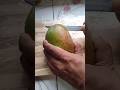 Mango Cutting Shortvideo Shortsfeed Anirudhravichandersongs Trendingshorts Mango Bestmango Mango Cutting Shortvideo Shortsfeed Anirudhravichandersongs Trendingshorts Mango Bestmango