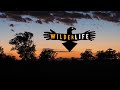 Wilderlife concept april 2018