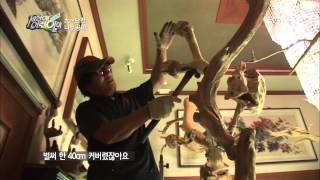 [순간포착 세상에 이런일이] 20130926 #12(6)