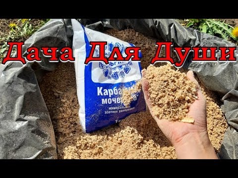 Как сделать, чтобы ОПИЛКИ быстро ПЕРЕПРЕЛИ?