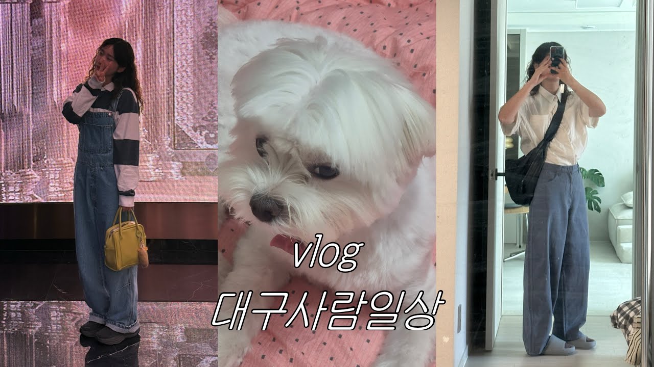 [vlog] 대구사람일상 | 유니클로 데일리룩 | 출근룩 | 강아지와일상 | 청도 나들이 | 청도 오경통닭 옹치기 | 청도 운문사 | 유니클로 U라인