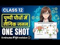 Class 12 Biology Chapter 1 CUET Hindi Medium | Sexual Reproduction in Flowering Plants | Up Board 
