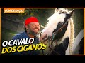 GYPSY, O CAVALO DOS CIGANOS! | RICHARD RASMUSSEN