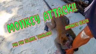 Monkey attacks in Phi Phi Monkey Island Thailand