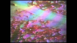 HIGH-FUNCTIONING FLESH - SELF-MANAGEMENT [OFFICIAL VIDEO]