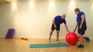 Celebrity Stability Ball Push Up with Feet on Ball Net Worth