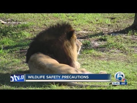 Wildlife safety precautions