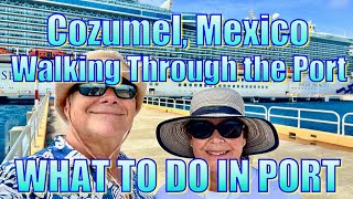 Cozumel  Mexico  Puerta Maya & International Cruise Terminals  What to Do on Your Day in Port