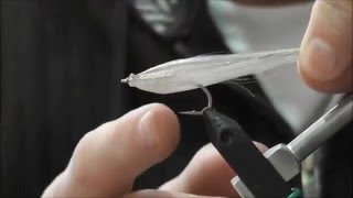 Tying a DNA Hologhost