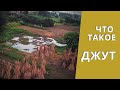 Что такое ДЖУТ | Мы из МАЯПУРА