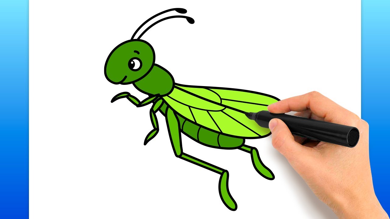 How to Draw a CUTE GRASSHOPPER | Step by Step INSECT Illustration Tutorial [ Easy Art Lesson] - YouTube