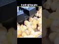 चिकन इंडस्ट्री का बड़ा सच! 35 दिनों में तैयार होता है Chicken 😳 #facts