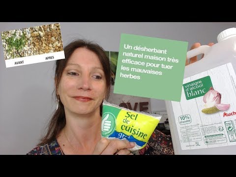 Désherbant total naturel mauvaises herbes et mousses - Ultima